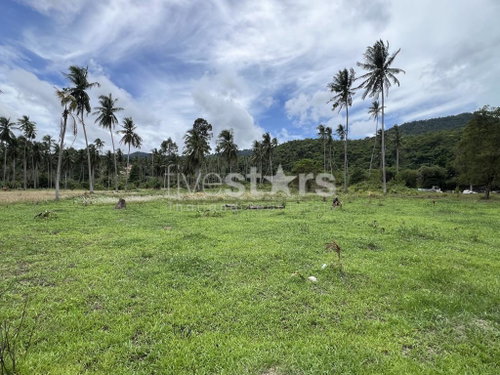 Prime Coconut Land in Maemam, Koh Samui 4113838433