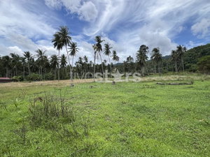 Prime Coconut Land in Maemam, Koh Samui 4113838433