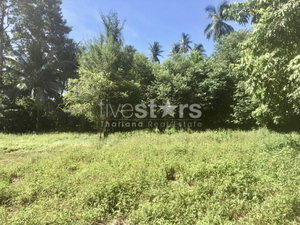 Flat land for sale in Meanam soi 1 (1,407 sqm.) 475501652