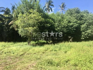 Flat land for sale in Meanam soi 1 (1,407 sqm.) 475501652