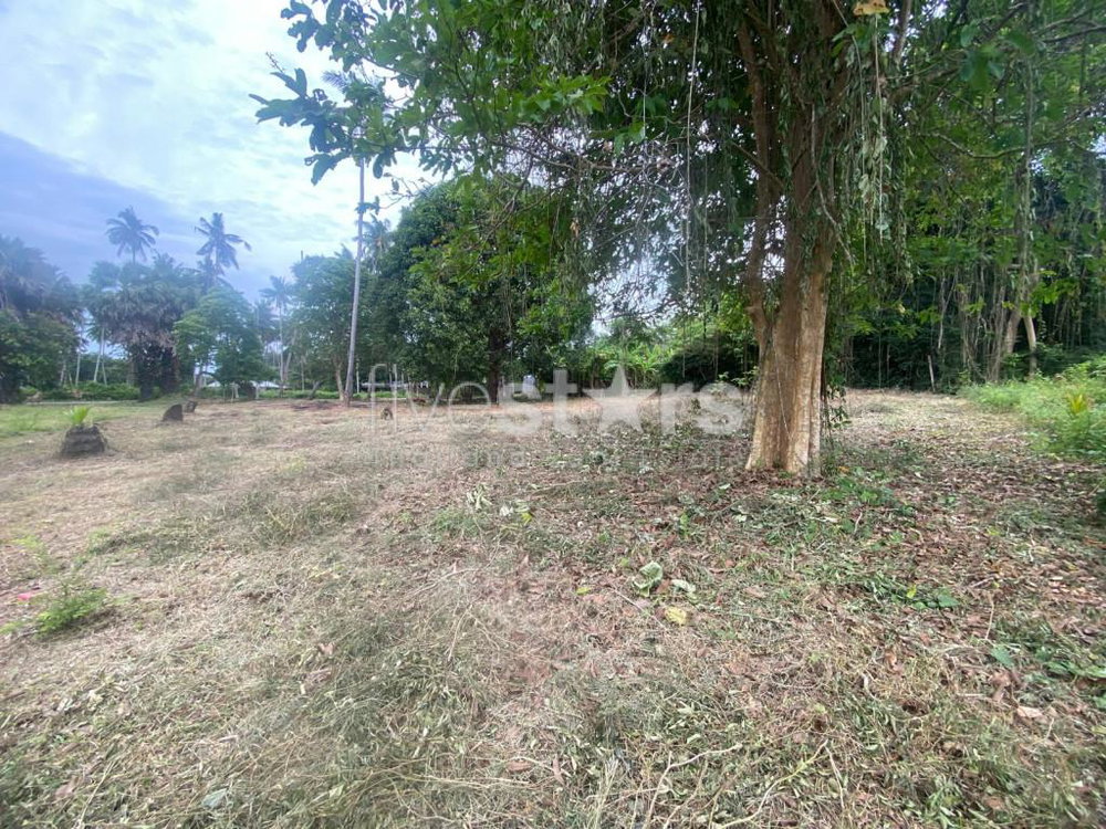 Land plot for sale in Laem Sor on the south coast of Samui 3142612412