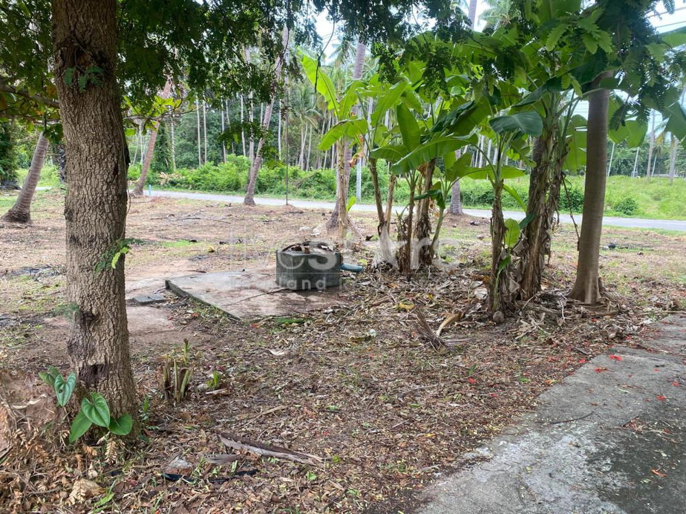 Land plot for sale in Laem Sor on the south coast of Samui 3142612412
