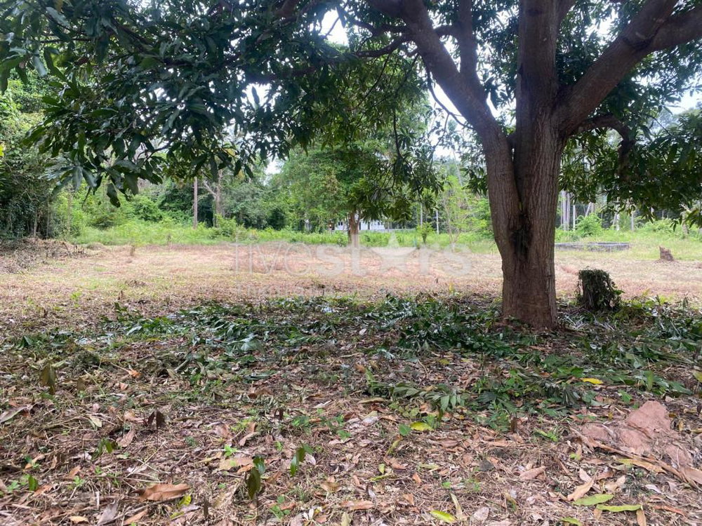 Land plot for sale in Laem Sor on the south coast of Samui 3142612412