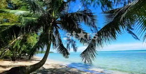 Land Plots for Sale – Bang Kao Beach, Koh Samui 1610985995