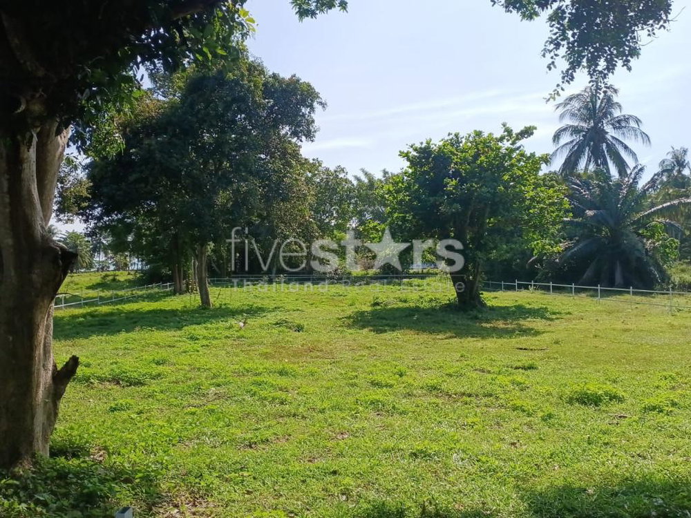Flat Land for Sale Near the Beach – Laem Set, Koh Samui( 2,140 sqm.) 1596903491