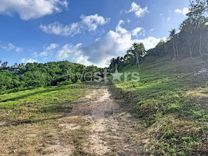 Prime 1,864 sqm Sea View Land Plot for Sale in Bophut Hills 2199311341