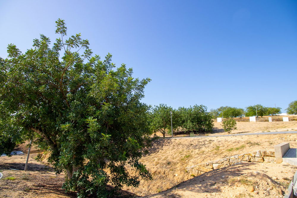 A group of 12 beautiful building plots , near the village, views on the gentle hills of Santa Barbara de Nexe. 2665585501