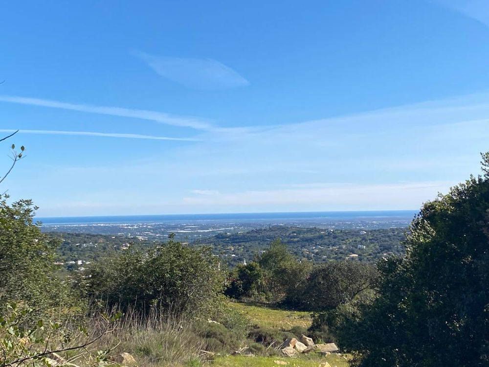 Seaview plots for sale with approved project – Quinta das Raposeiras Phase III 3341828617