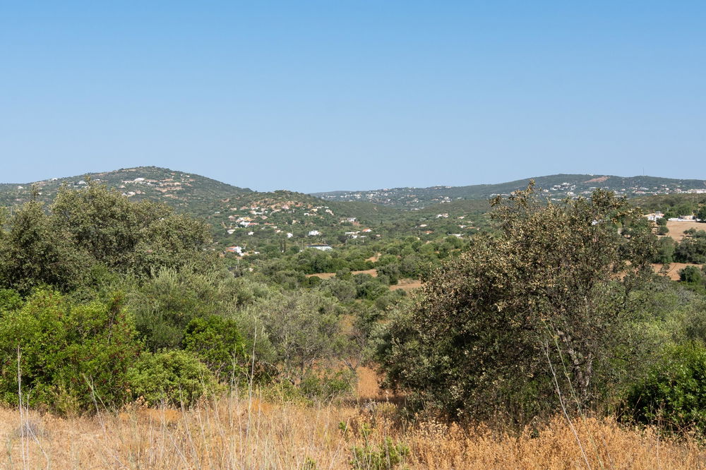 Plot with approved project in the gentle hills of Estoi – stunning open views towards the lush and green countryside 3583689163