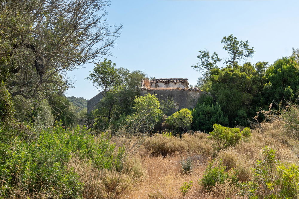 Plot with approved project in the gentle hills of Estoi – stunning open views towards the lush and green countryside 3583689163