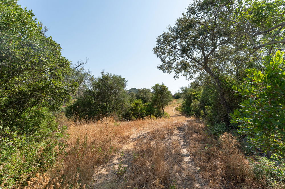 Plot with approved project in the gentle hills of Estoi – stunning open views towards the lush and green countryside 3583689163