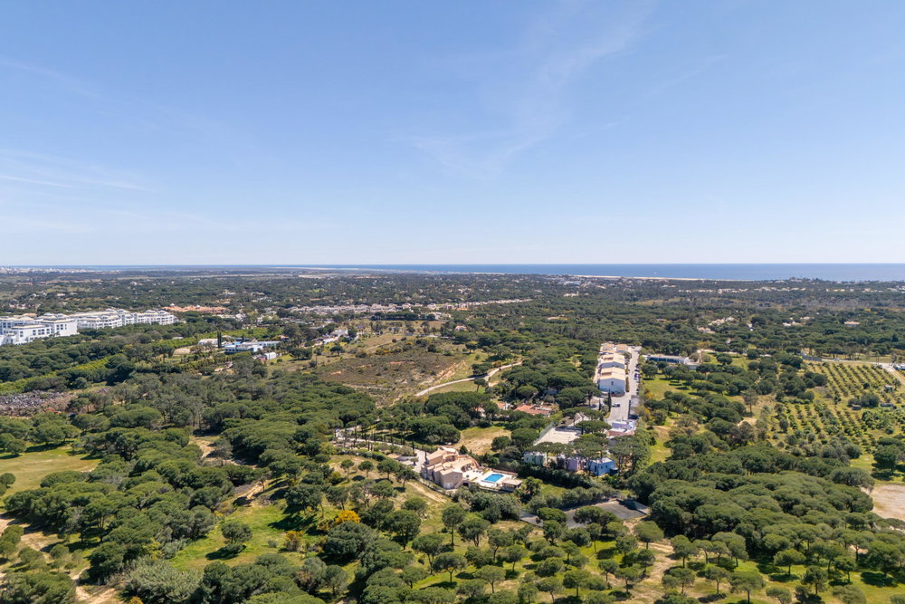 Timeless Elegance Among the Pines: A Grand Algarve Estate in Valverde 510409944