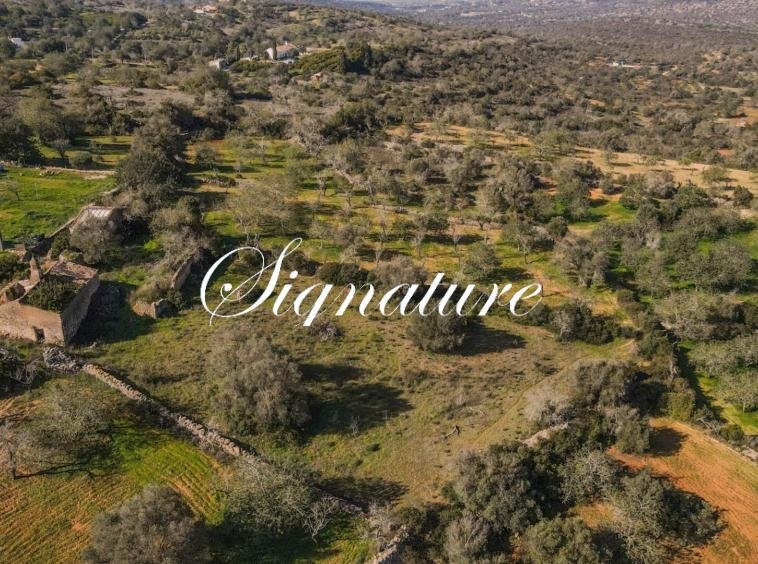 Price Reduction! 2 Plots of more than 4200 m2 with the permission to build 2 houses of up to 300m2 each in Boliqueime 3395118452