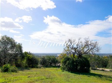 Plot for construction of a max of 10 houses in the center of Santa Barbara Nexe 250295015
