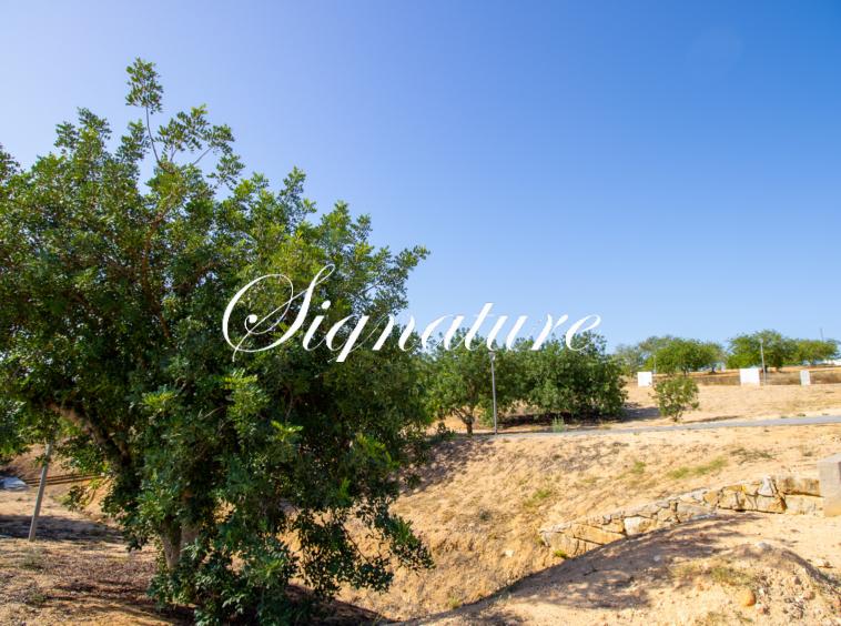 A group of 12 beautiful building plots , near the village, views on the gentle hills of Santa Barbara de Nexe. 248176462