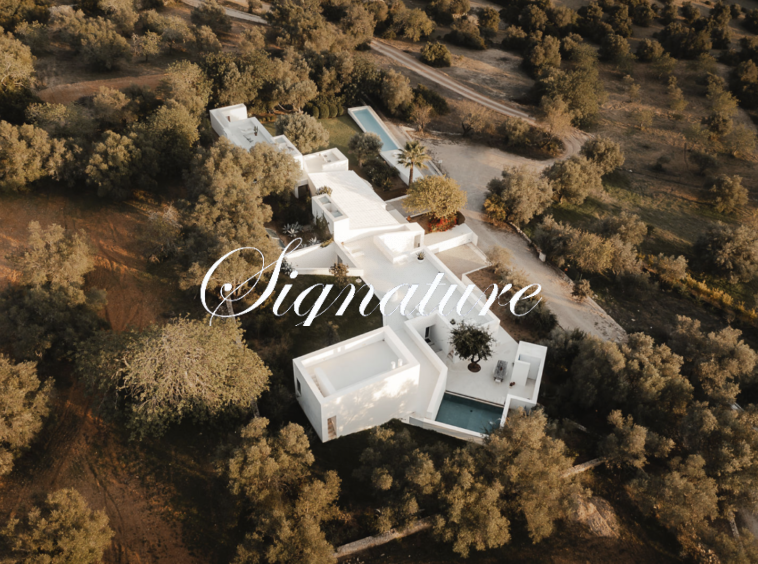 Business Investment opportunity : One magic minimalistic estate in Santa Barbara de Nexe with 7 bedrooms and 4 bathrooms 3154917313
