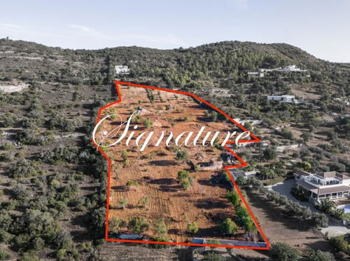 EXCEPTIONAL: one of the last remaining ruins in the Canal area of Santa Barbara de Nexe, sitting on a huge plot of more than 2 hectares, offering breathtaking sea views and proximity to the heart of Santa Barbara de Nexe 3855679426