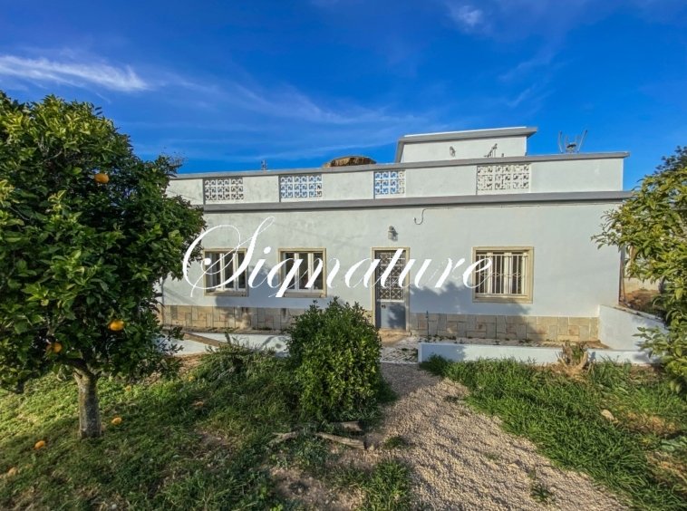 3 bedroom villa near Santa Bárbara de Nexe on a generous plot of 4520m2 with warehouse 440382536
