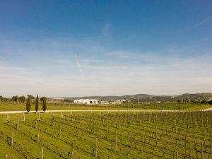 Villa with swimming pool and with privileged view of the Castle of Montemor-o-Novo 1854020205