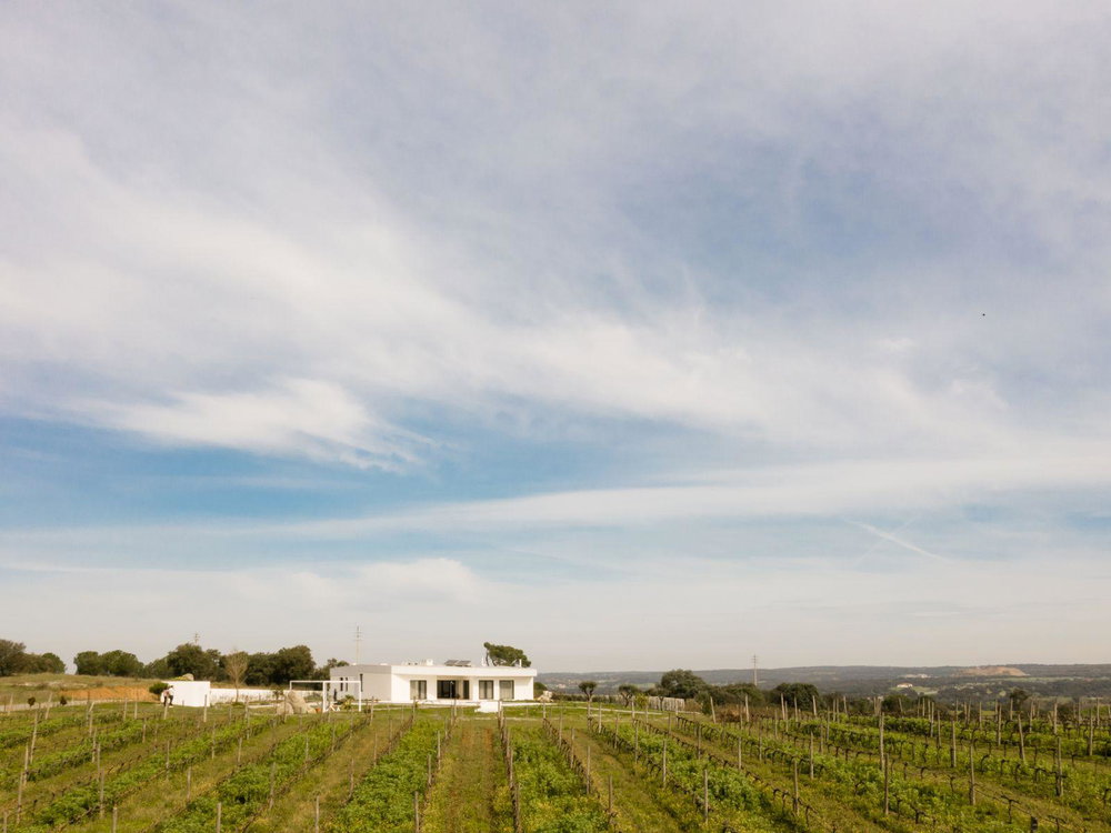 Villa with swimming pool and with privileged view of the Castle of Montemor-o-Novo 2156690241