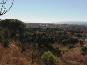 Terreno para construção de moradia, Monte Rei Golf, Algarve 1246876611