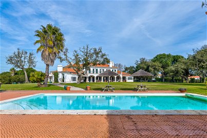 Estate with 32 hectares located in Santo Estevão 592728286
