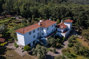 6 bedroom villa with 7300m2 of land, located 30 minutes from Porto 3053188676
