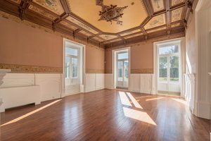 Fully renovated palace in downtown Porto 3647235880
