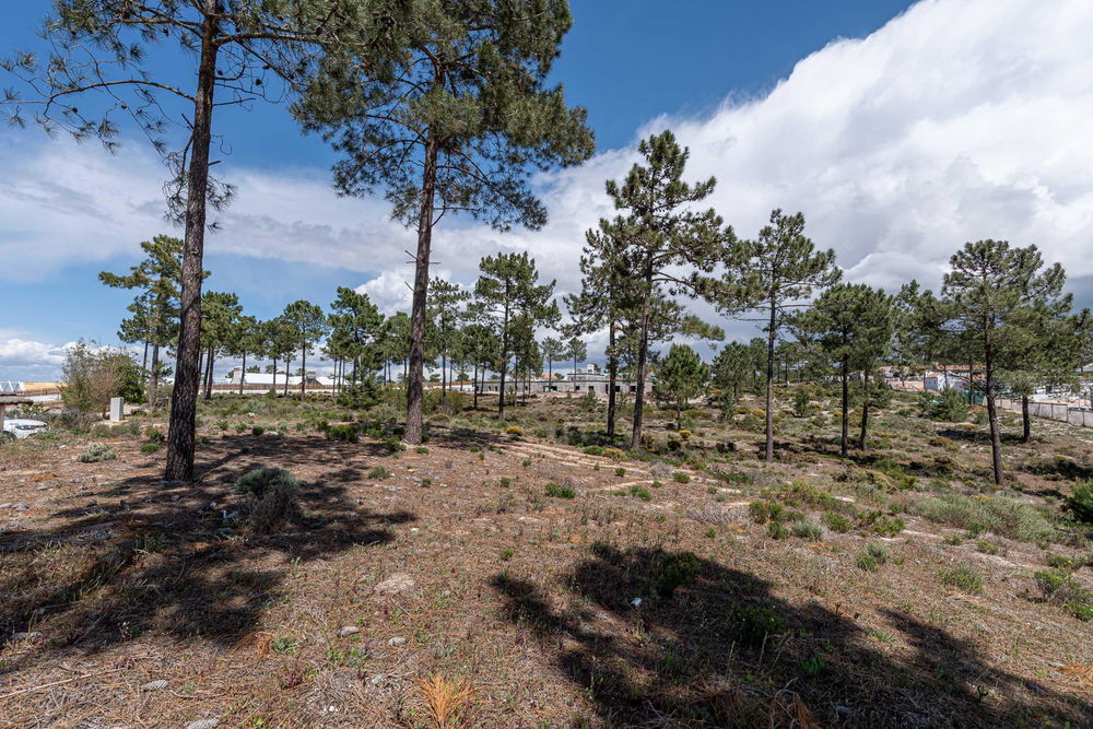 Land plot, Casas da Colina, Lagoa Formosa 407893280