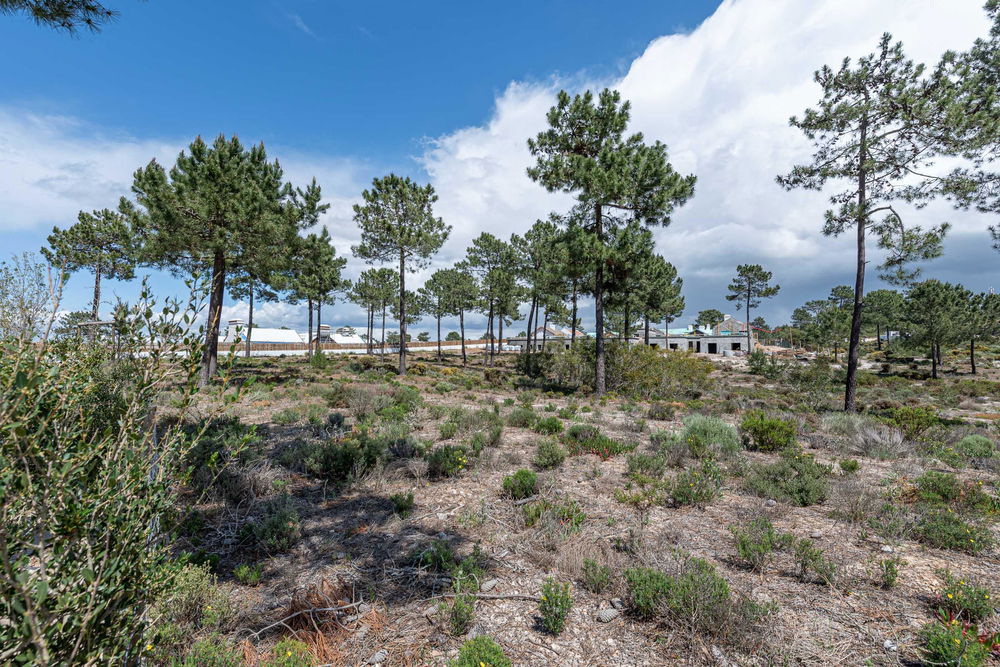 Land plot, Casas da Colina, Lagoa Formosa 407893280