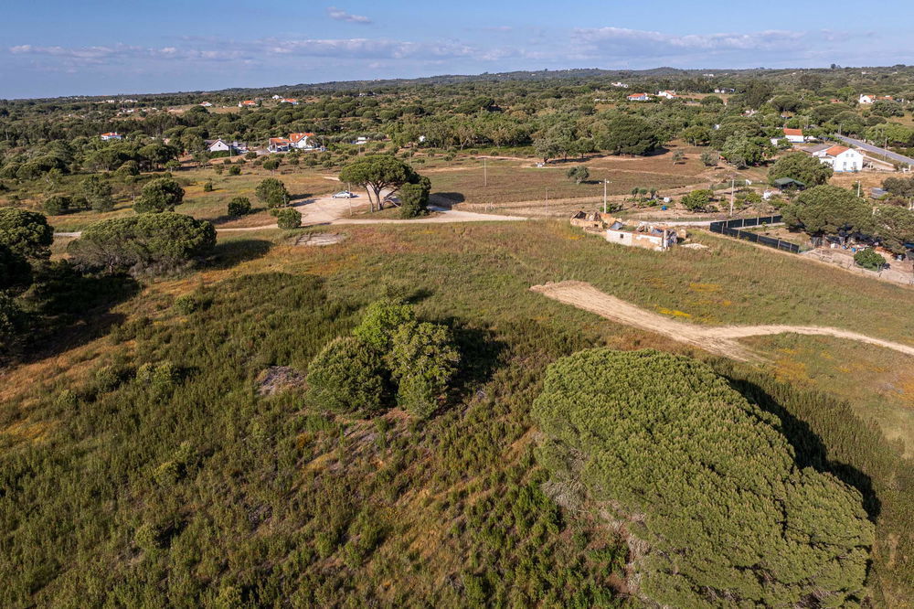 Rustic Land with Project Approved, Melides 3977491885