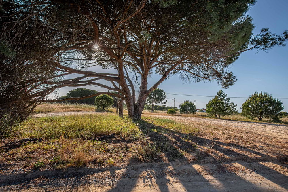 Rustic Land with Project Approved, Melides 3977491885