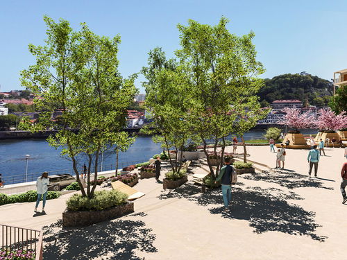 2 bedroom flat with outdoor area, next to the Douro River 2551413832