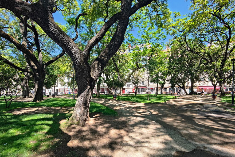 2 bedroom flat to remodel on Avenida 24 de Julho 3532865838