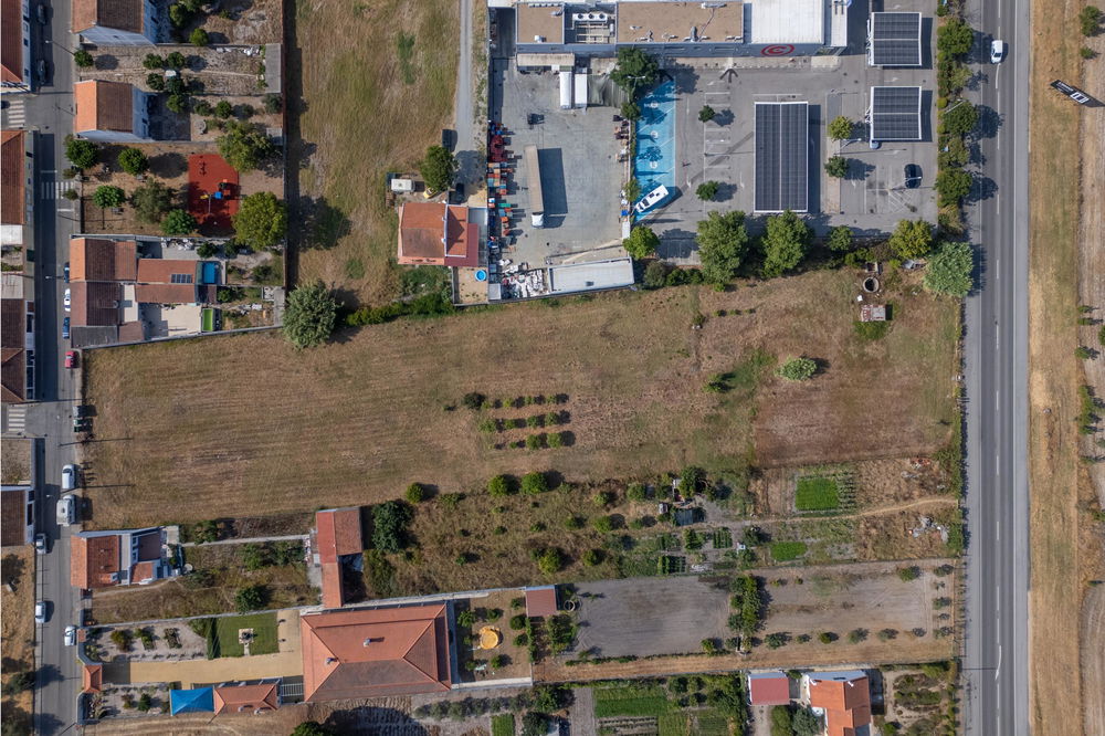 Land in Grândola 3838424610