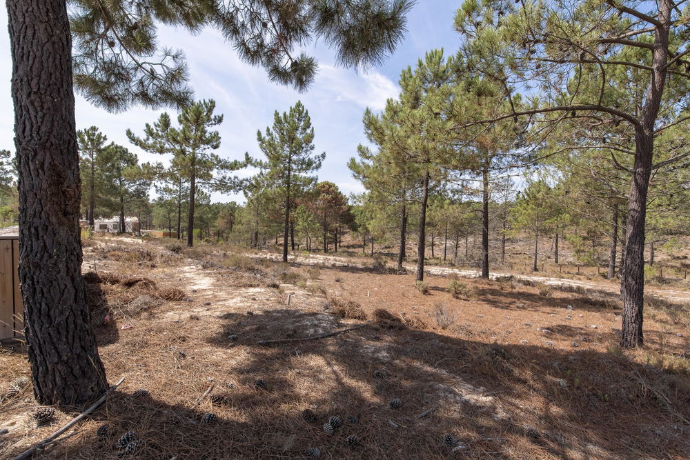 Plot of land inserted in the La Reserve development, Carvalhal 1095438535