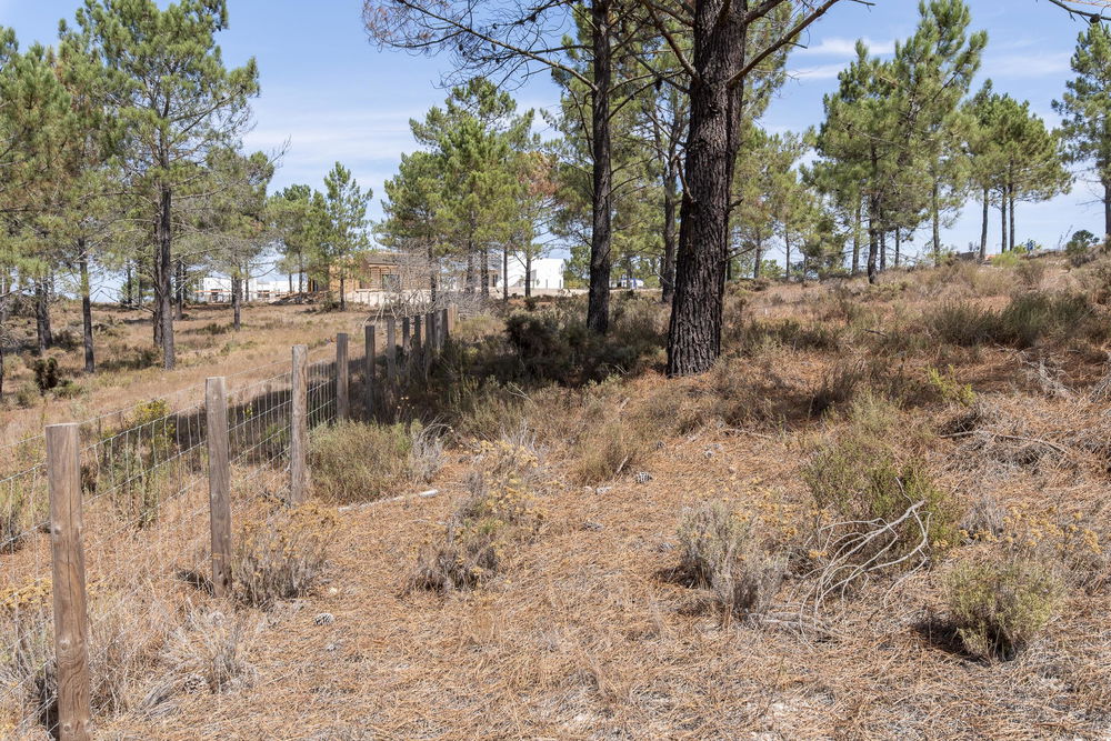 Plot of land inserted in the La Reserve development, Carvalhal 1095438535