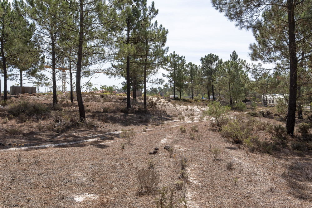 Plot of land inserted in the La Reserve development, Carvalhal 1095438535