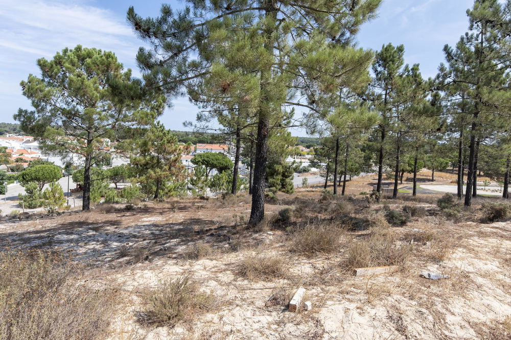 Plot of land, in the La Reserve subdivision, Carvalhal 3628220797