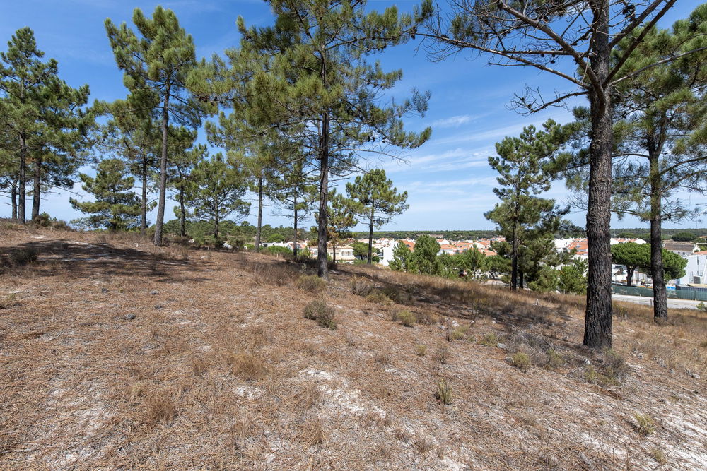 Plot of land, in the La Reserve subdivision, Carvalhal 3628220797