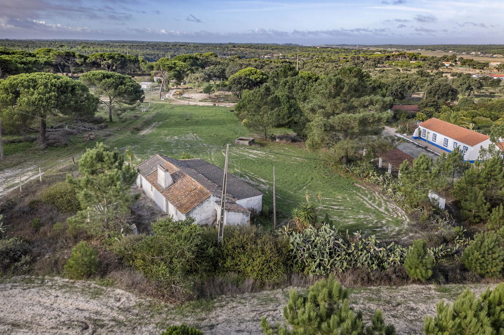 Farm with 4000m2 of plot and ruin, in Melides 595332796