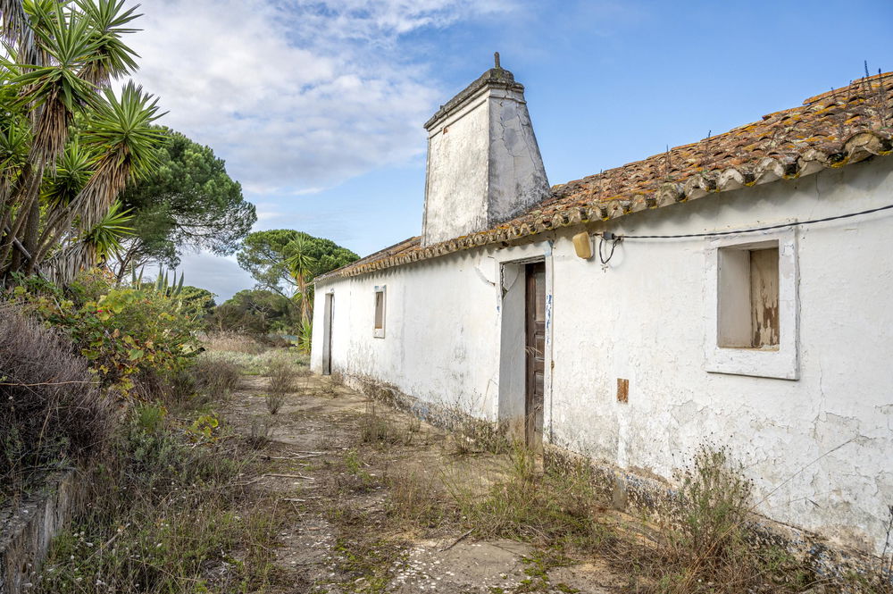 Farm with 4000m2 of plot and ruin, in Melides 595332796