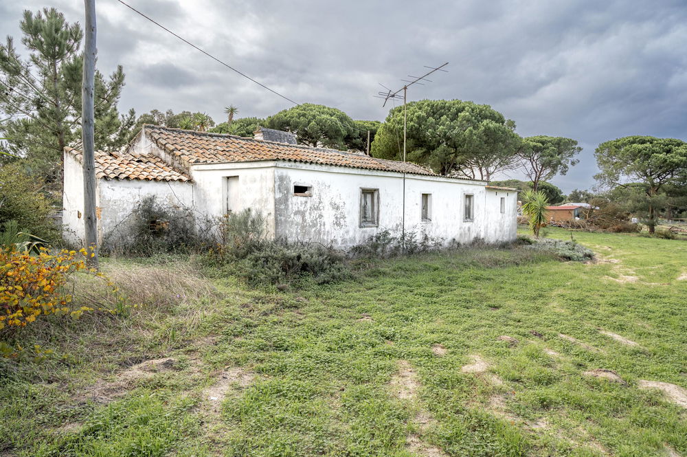 Farm with 4000m2 of plot and ruin, in Melides 595332796