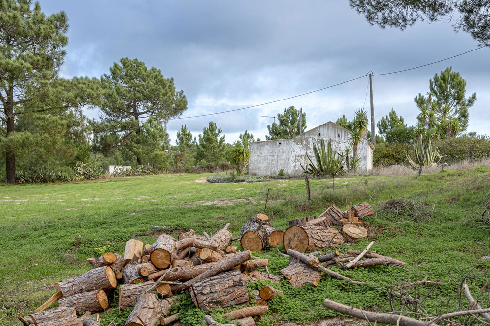 Farm with 4000m2 of plot and ruin, in Melides 595332796