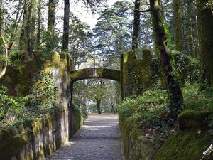 Urban land 3066 m², with centenary ruin and monuments view, in Sintra 3483868519