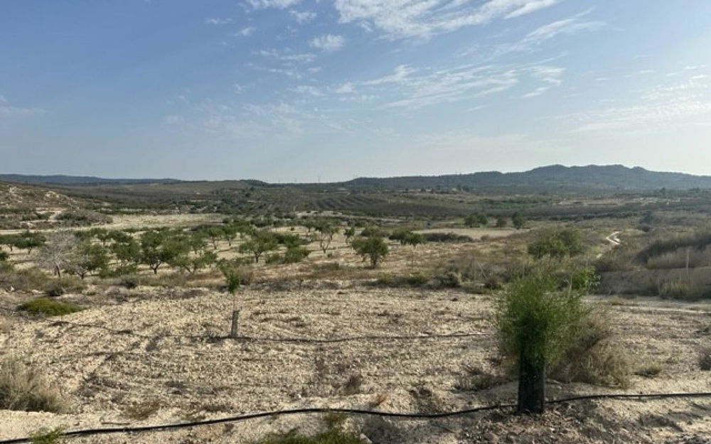 Torremendo · Alicante REF #CSPA-89378 · Land 4208211806