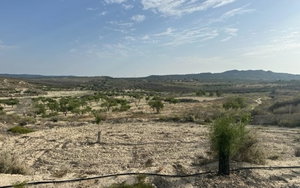 Torremendo · Alicante REF #CSPA-89378 · Land 4208211806
