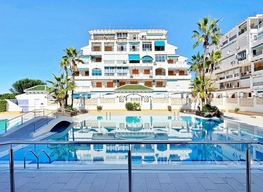 Torrevieja · Alicante REF #CSPY-88911 · Apartment 3736495403