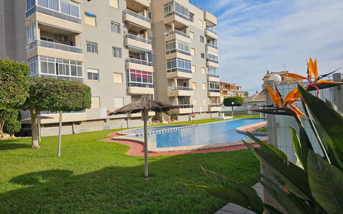 Torrevieja · Alicante REF #CSPX-51409 · Apartment 3481389144