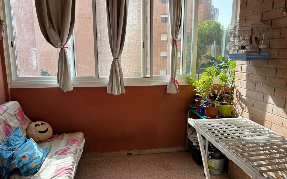Benidorm · Alicante REF #CSPX-83550 · Apartment 3456461960
